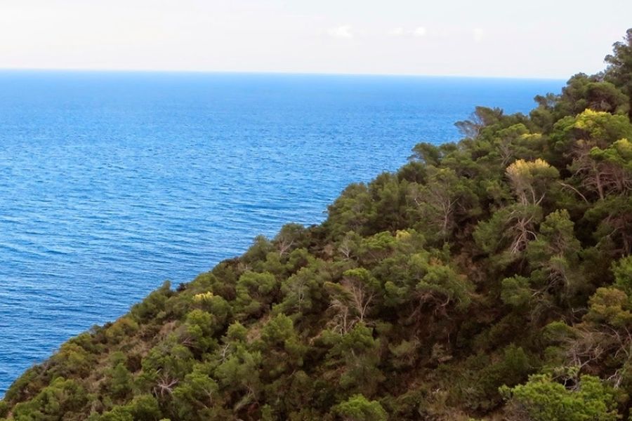 Cap des Llibrell