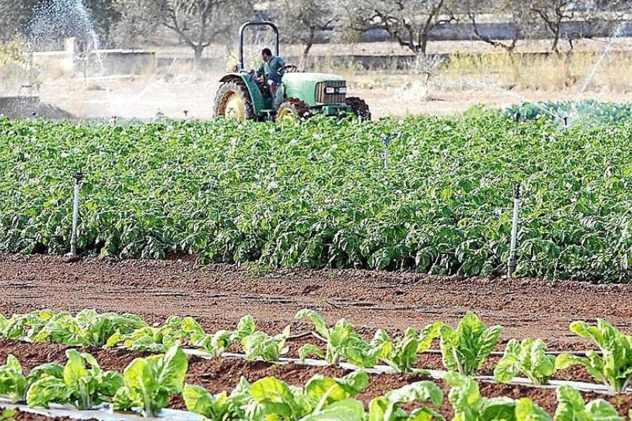 Agricultura ecológica