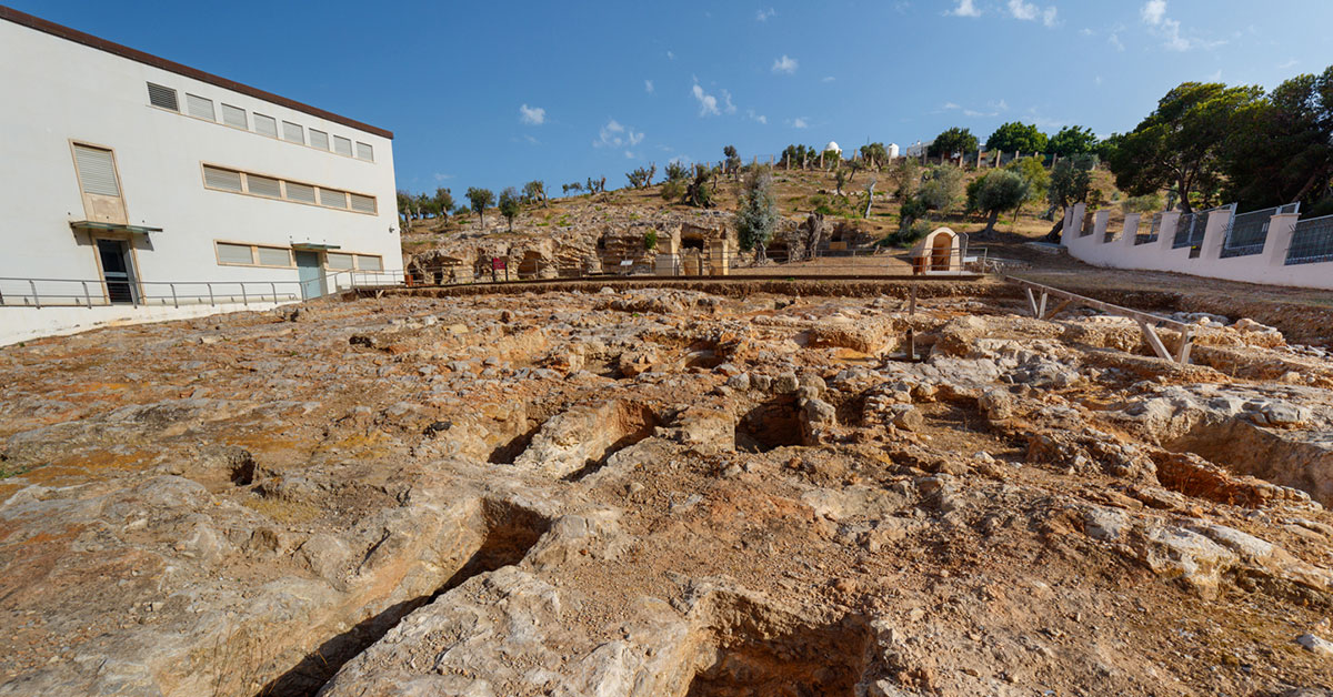 maef y necropolis punica