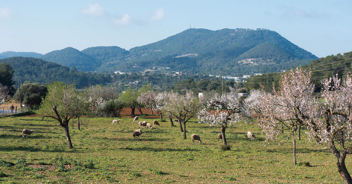 ruta de sa serra grossa