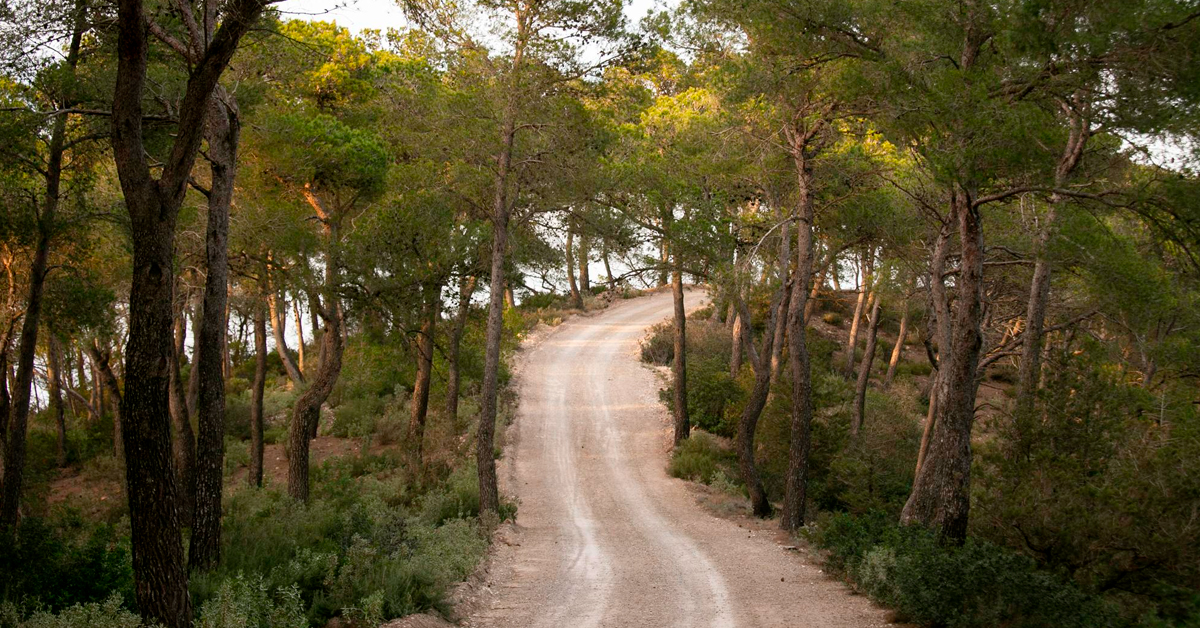 ruta senderista sant josep de sa talaia