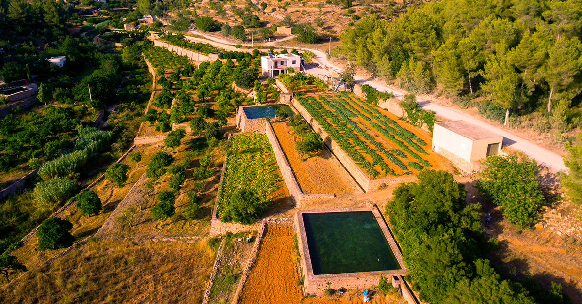 ruta ibiza es broll