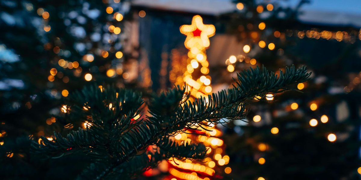 Una Navidad para compartir en la isla de Ibiza