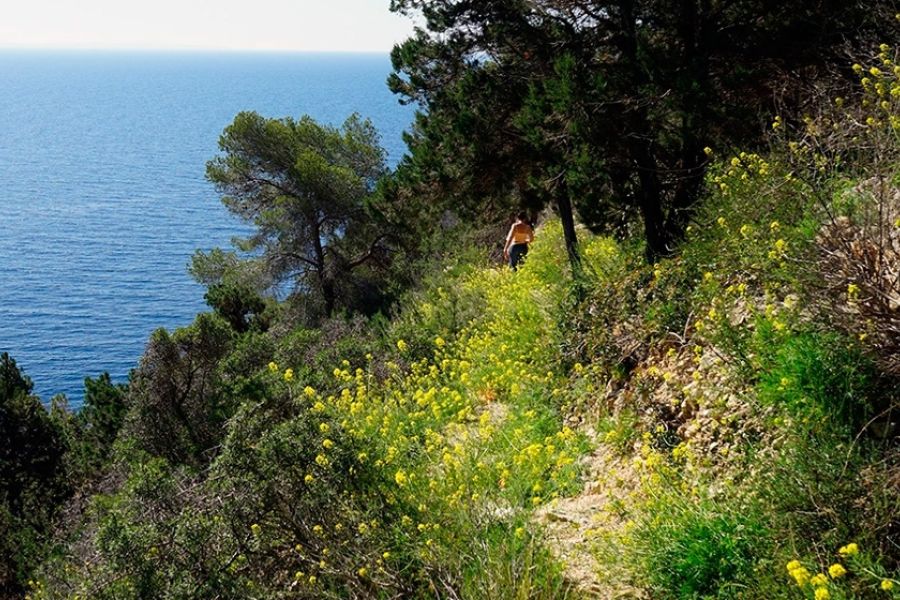 Walking to Cala Llentrisca