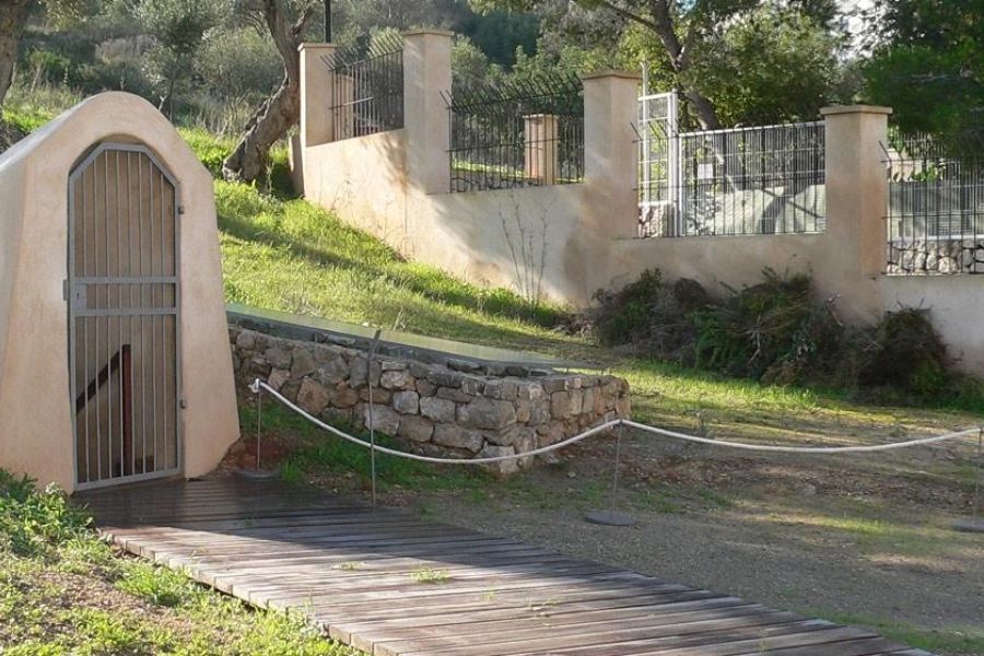Ibiza y Formentera Archeological Museum- Puig des Molins Site