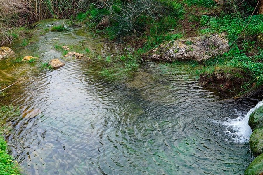 Salt des Rubió