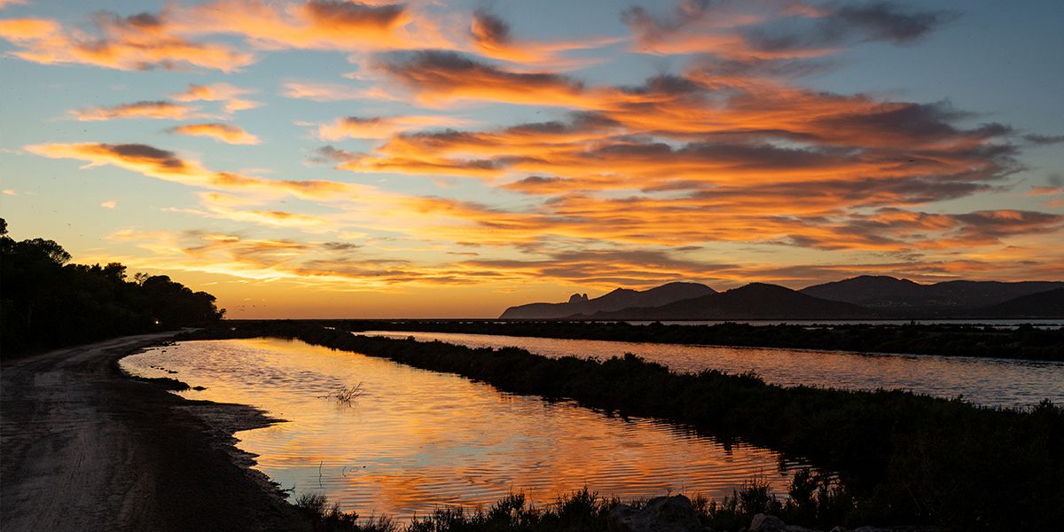 Ibiza sostenible: cómo disfrutar de la isla de forma responsable