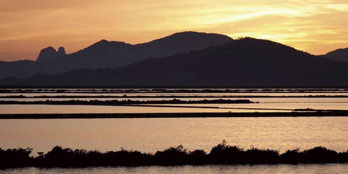 Ibiza's nature: a hidden gem