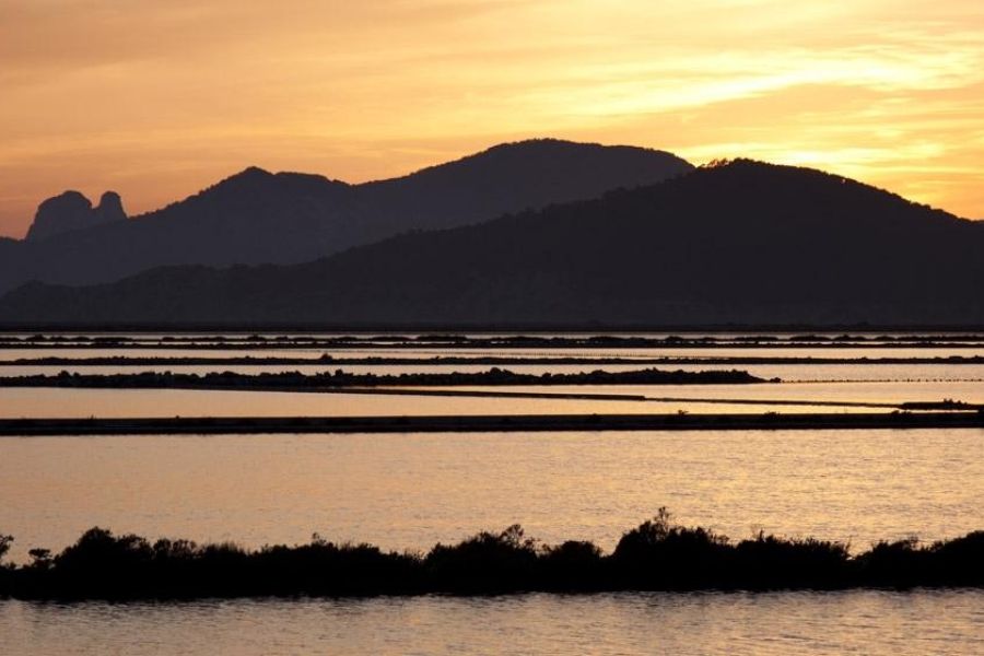 Reserva Natural de Ses Salines
