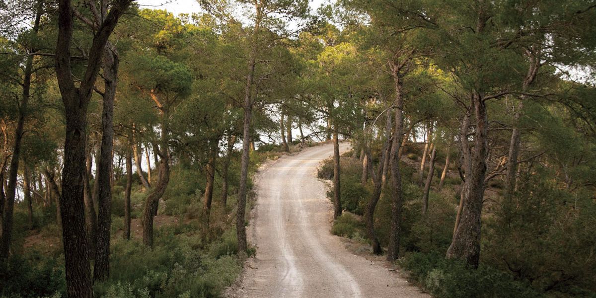 Hiking routes in Ibiza for beginners