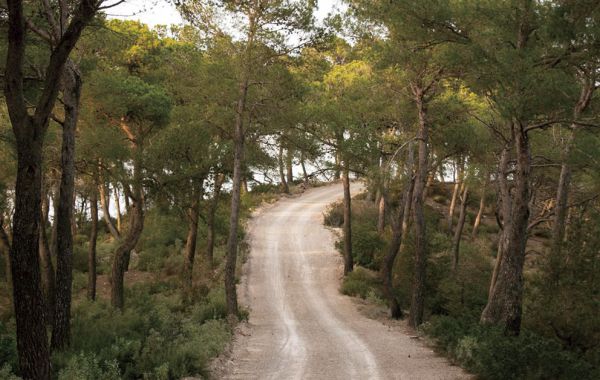 Hiking routes in Ibiza for beginners