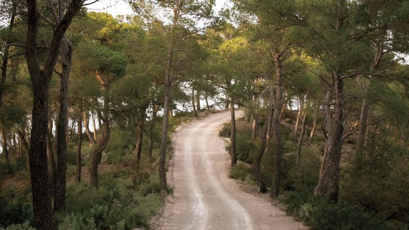 Ruta senderista de Sa Talaia