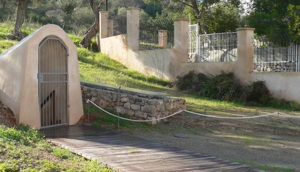 Ibiza y Formentera Archeological Museum- Puig des Molins Site