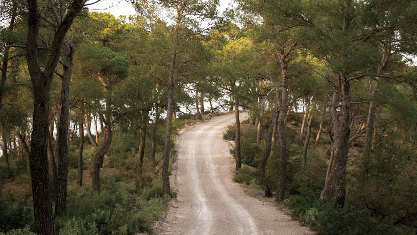 Hiking routes in Ibiza for beginners