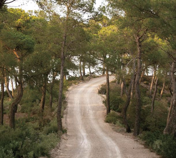 Hiking routes in Ibiza for beginners